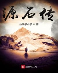 源石传
