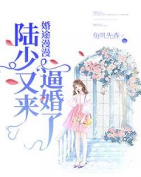陆少又来逼婚了