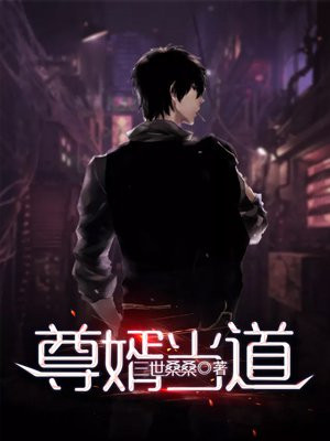 尊婿当道