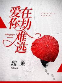爱你，在劫难逃