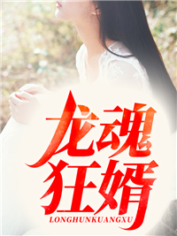龙魂狂婿