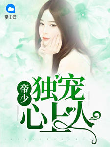 苏年华安锦