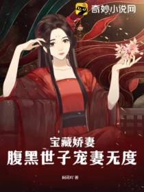 宝藏娇妻,腹黑世子宠妻无度