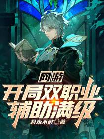 网游,开局双职业,辅助满级