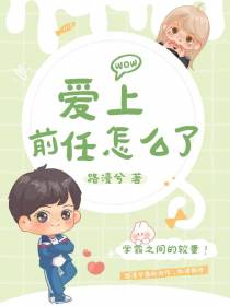 爱上前任怎么了