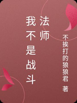 我不是战斗法师