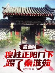 四合院：傻柱正阳门下踢了秦淮茹