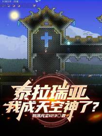 泰拉瑞亚：我成天空神了？